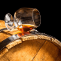 Le Meilleur Rhum Du Monde-Selon Les Caribbean Rum Awards&nbsp;2023